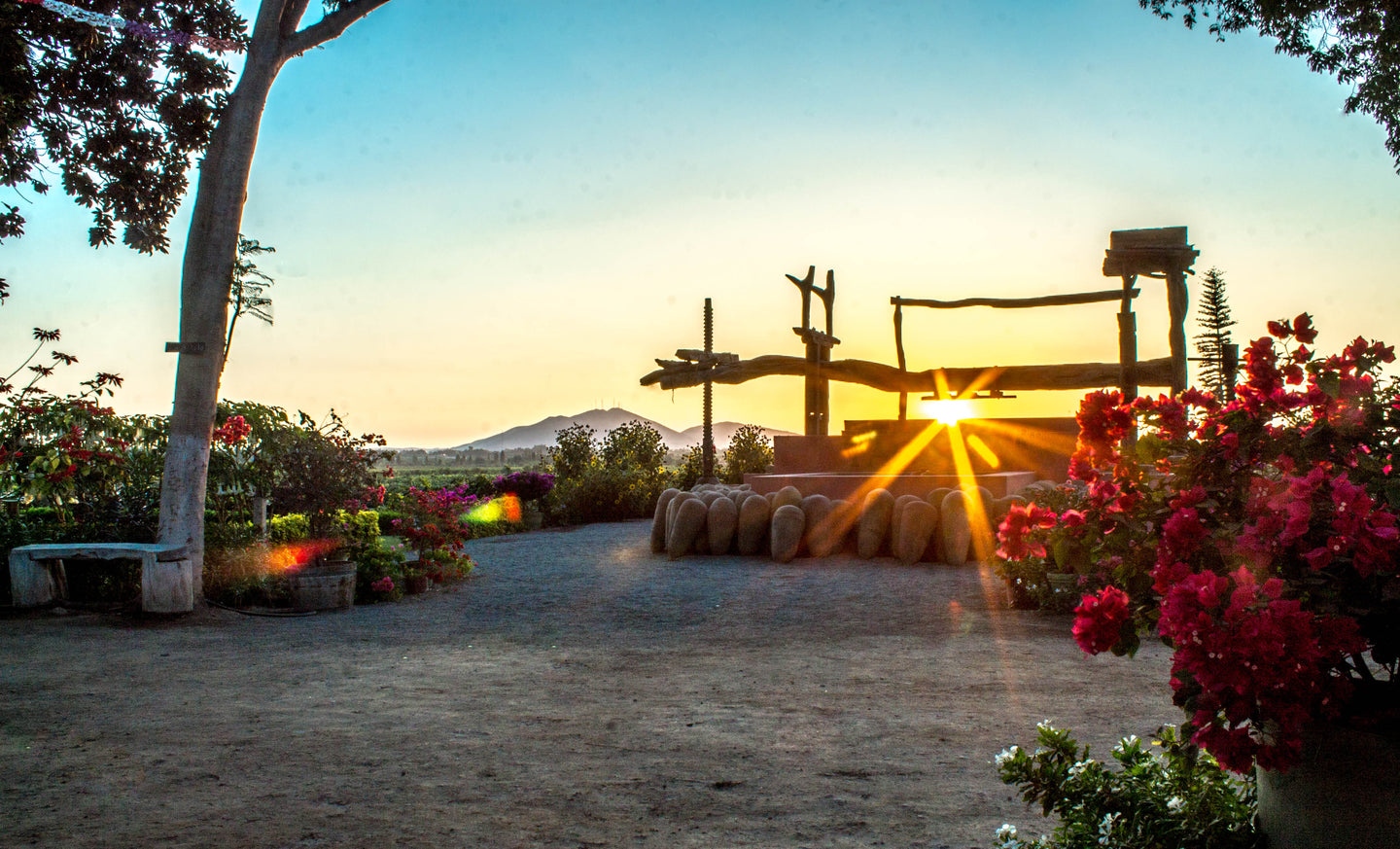 Tambo De Tacama, Ica -Perú