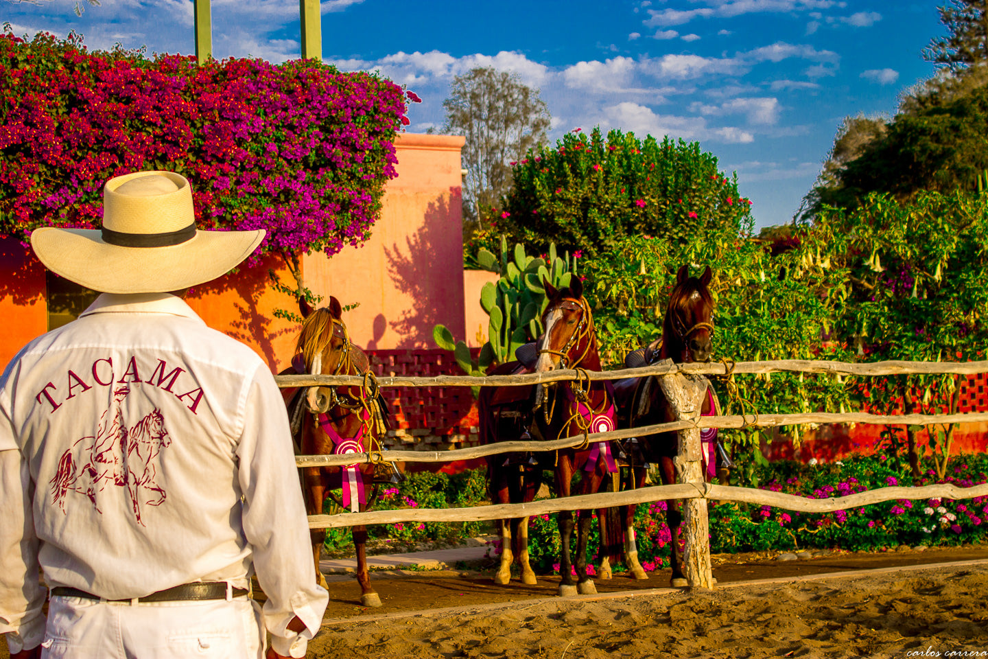 SOMOS TAMBO DE TACAMA