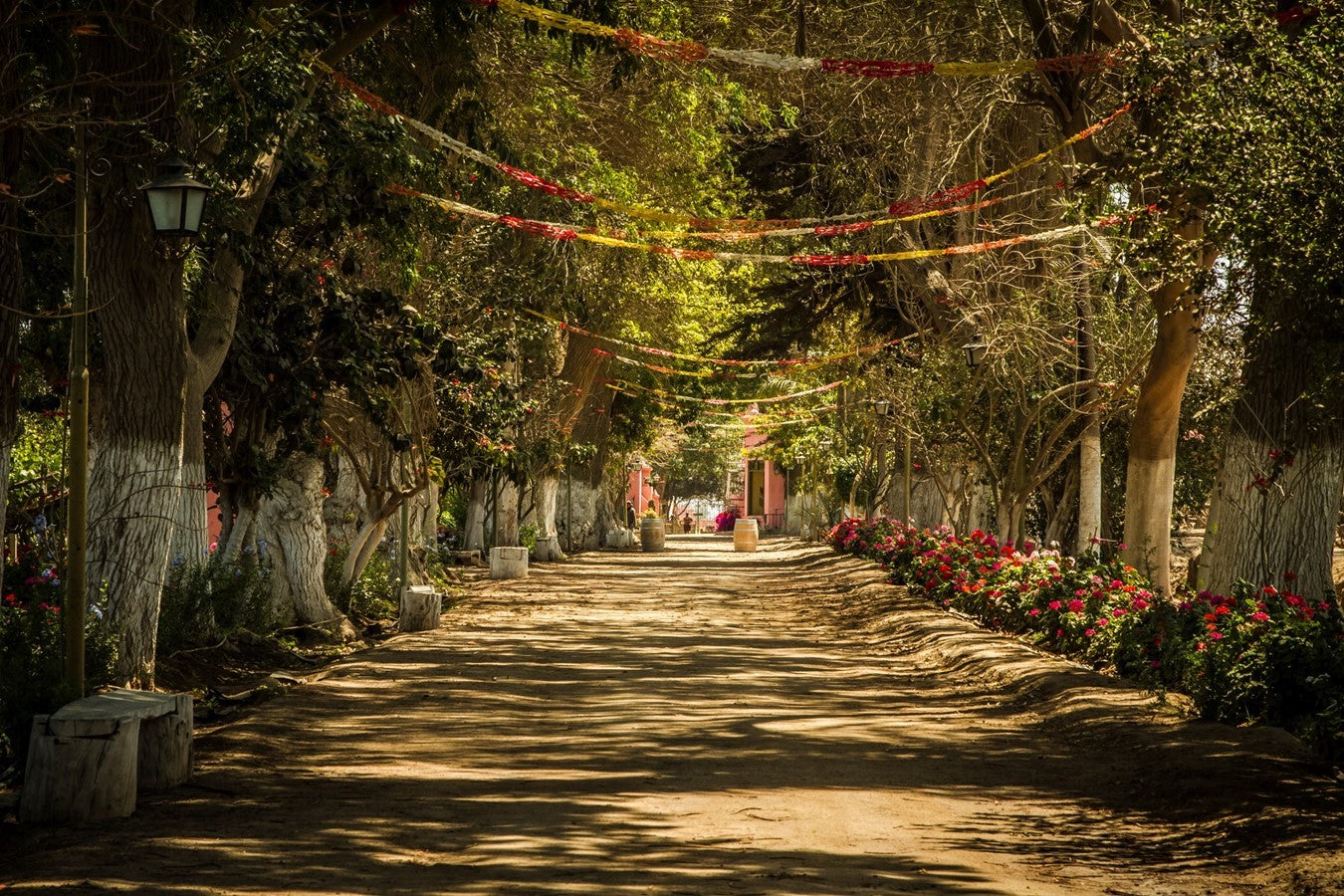 Tambo De Tacama, Ica -Perú