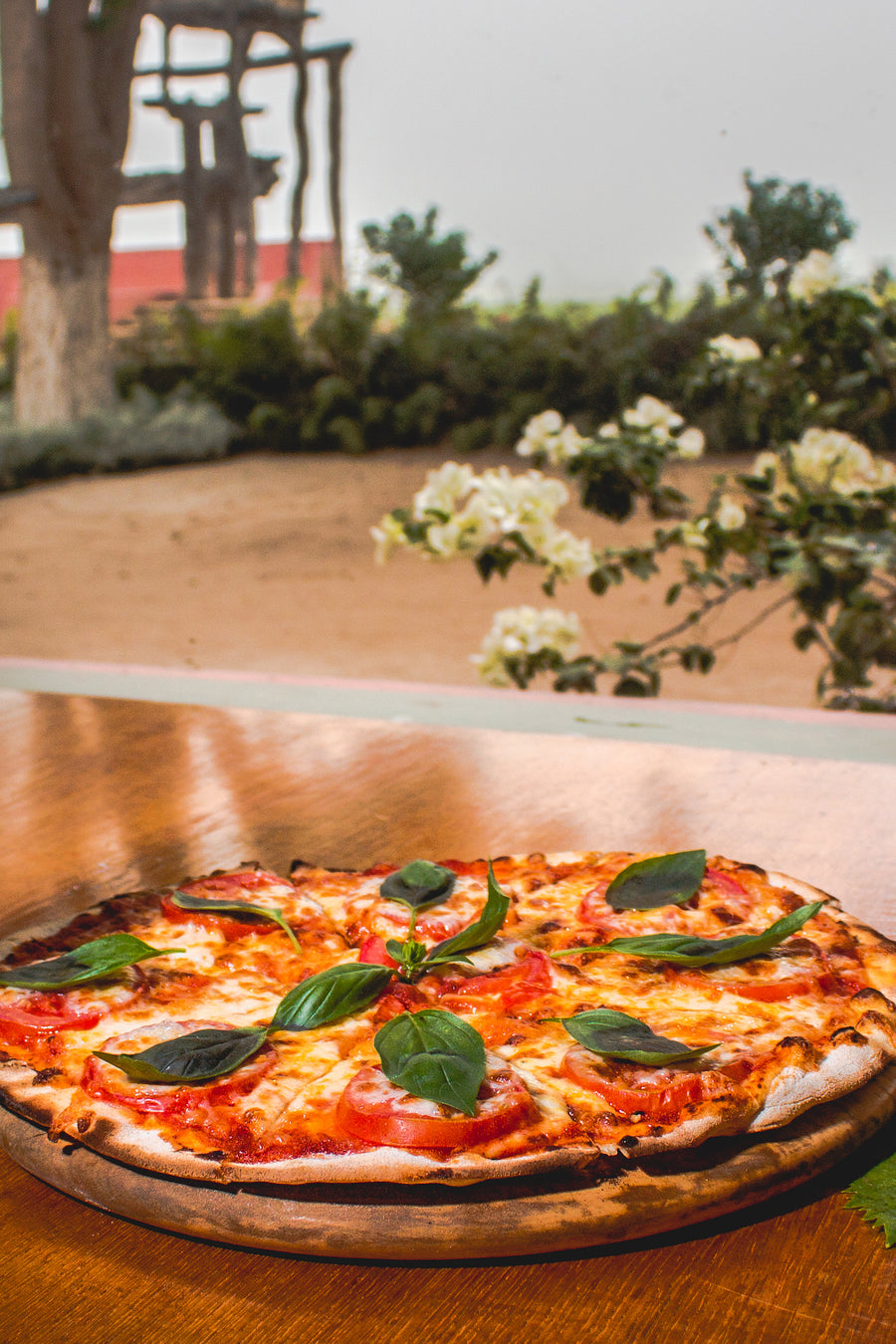 Pizza Margarita