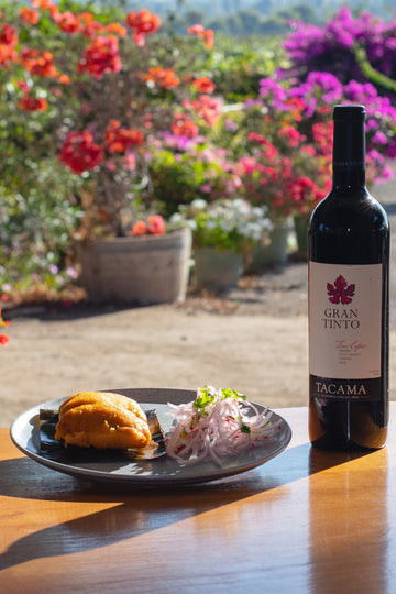Tamalito Criollo y Salsa Criolla